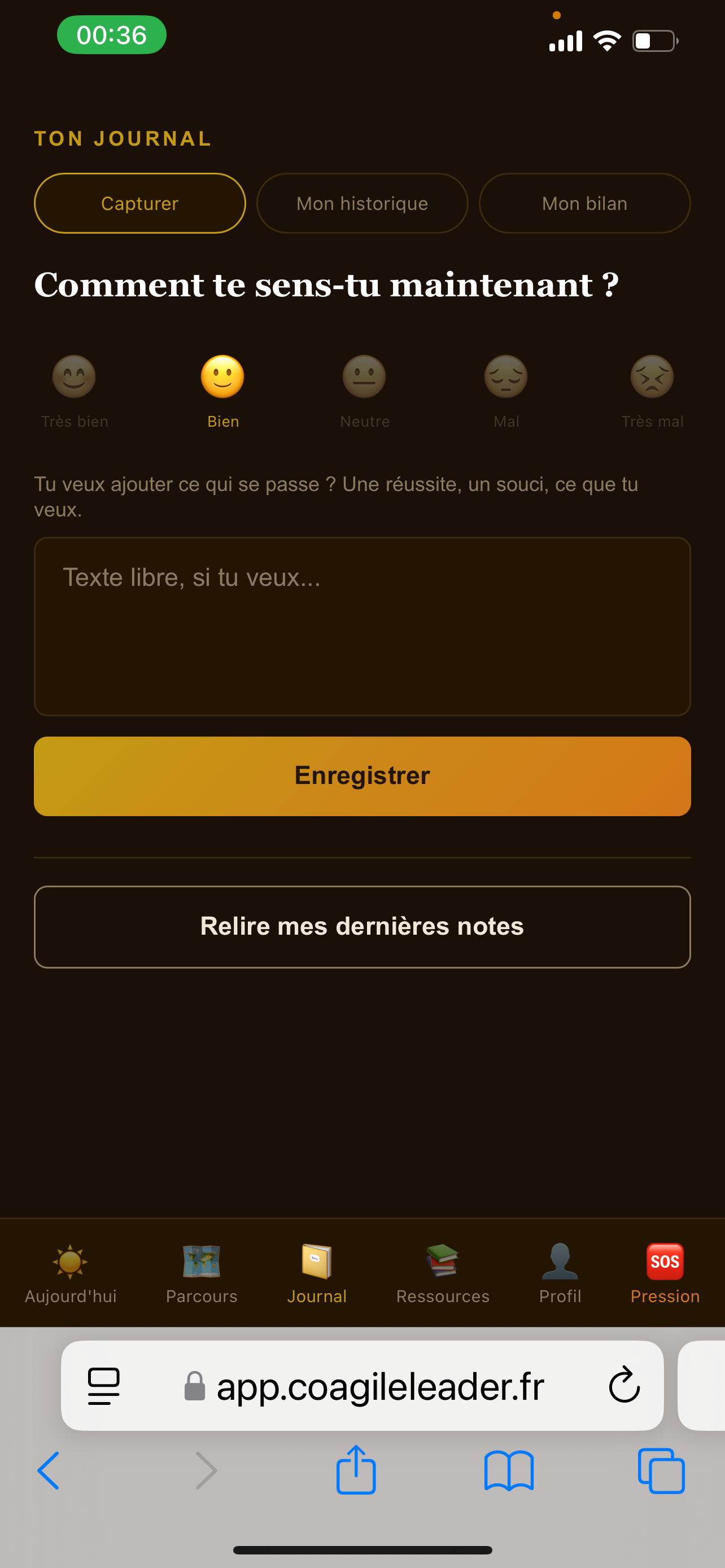 Journal avec capture, historique et bilan